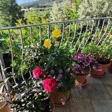 B&B Easy Wind Cala Gonone Dış mekan fotoğraf