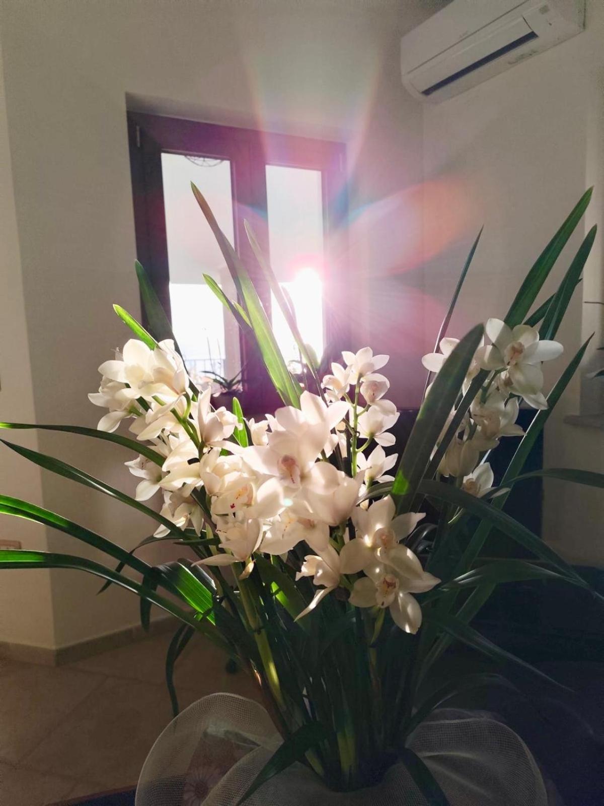 B&B Easy Wind Cala Gonone Dış mekan fotoğraf